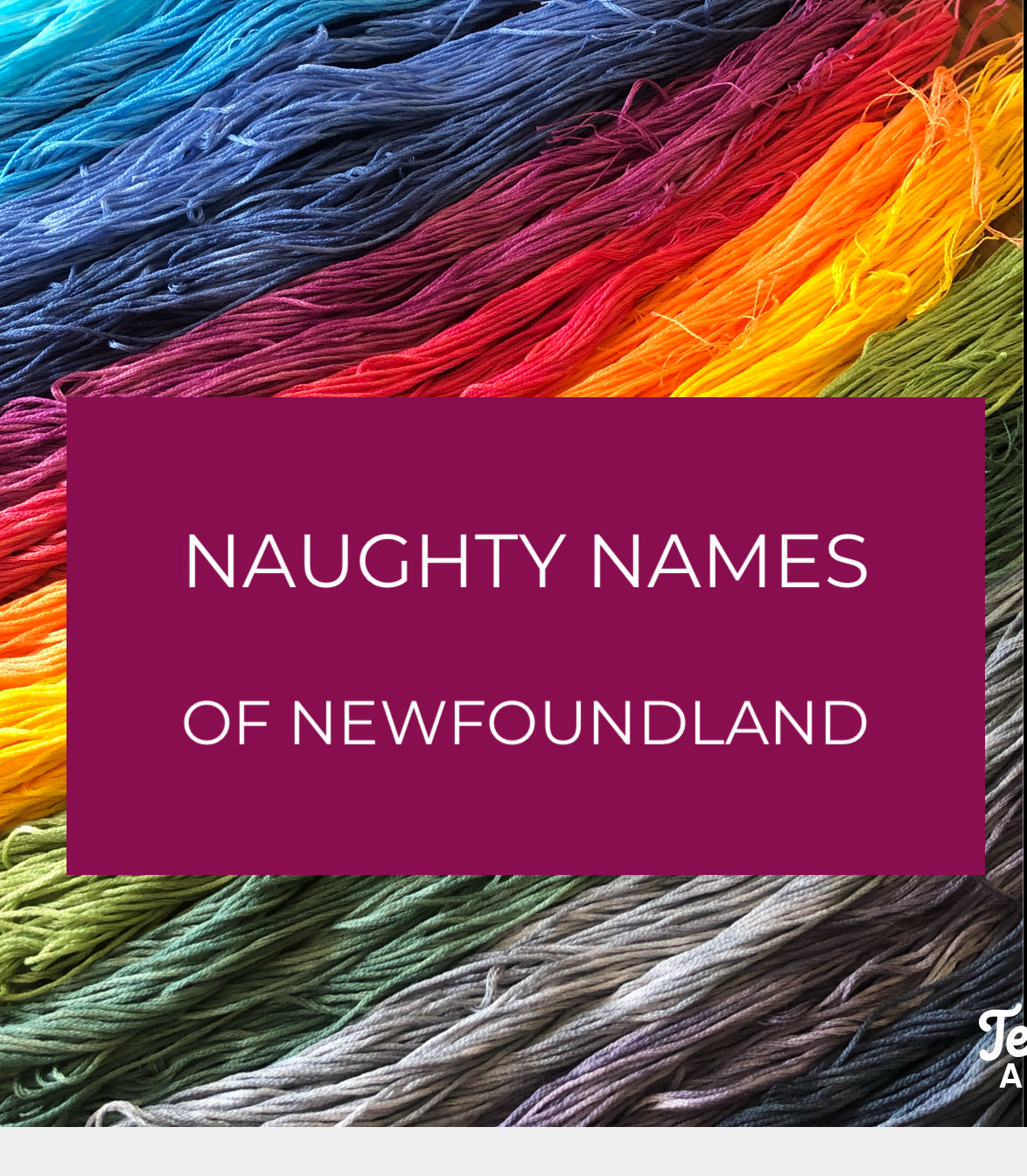 Hand Dyed Floss **CONTENT WARNING - LEWD NAMES**