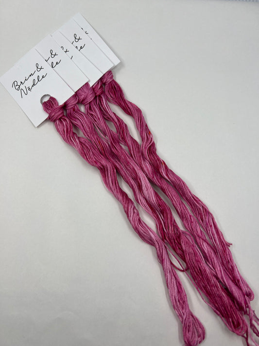 Hand Dyed Floss - A Noice Pot Clot from Nan