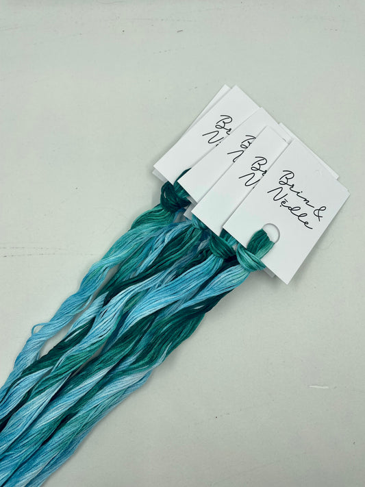 Hand Dyed Floss - Land and Sea