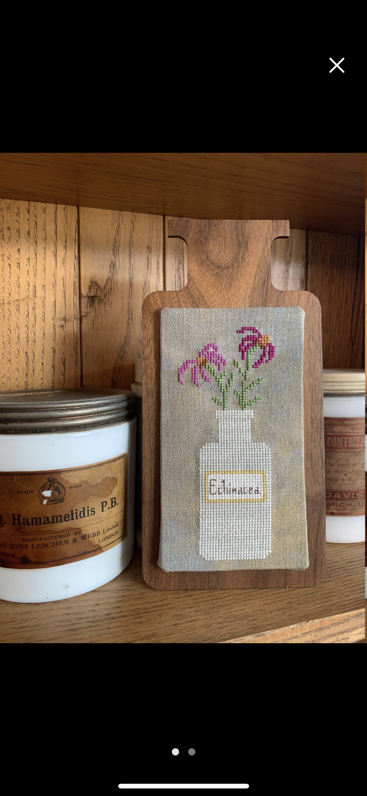 Perennial Potions Echinacea by Darling & Whimsy Designs